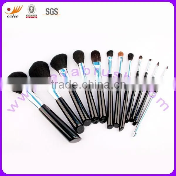 12 Piece Professional Cosmetic Brush Set