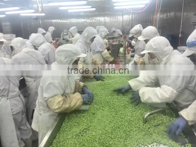 Frozen Green Pea
