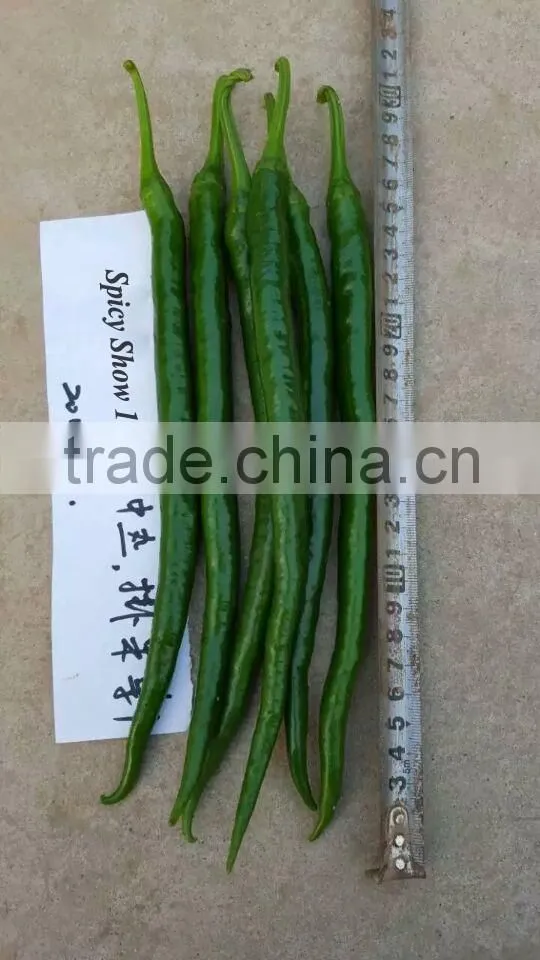 Hybrid F1 Hot Chili Pepper Seeds For Growing-Spicy Show 103