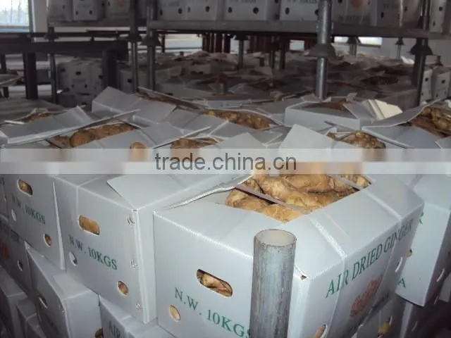 2016crop air dried ginger price