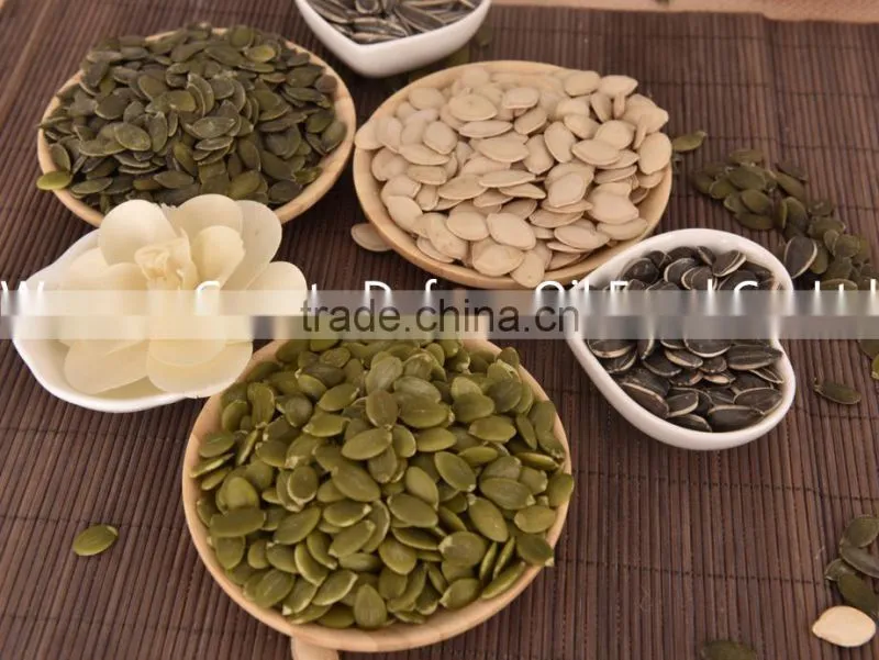 EU Standard Shine Skin Pumpkin Seeds Kernels and GWS pumpkin seeds