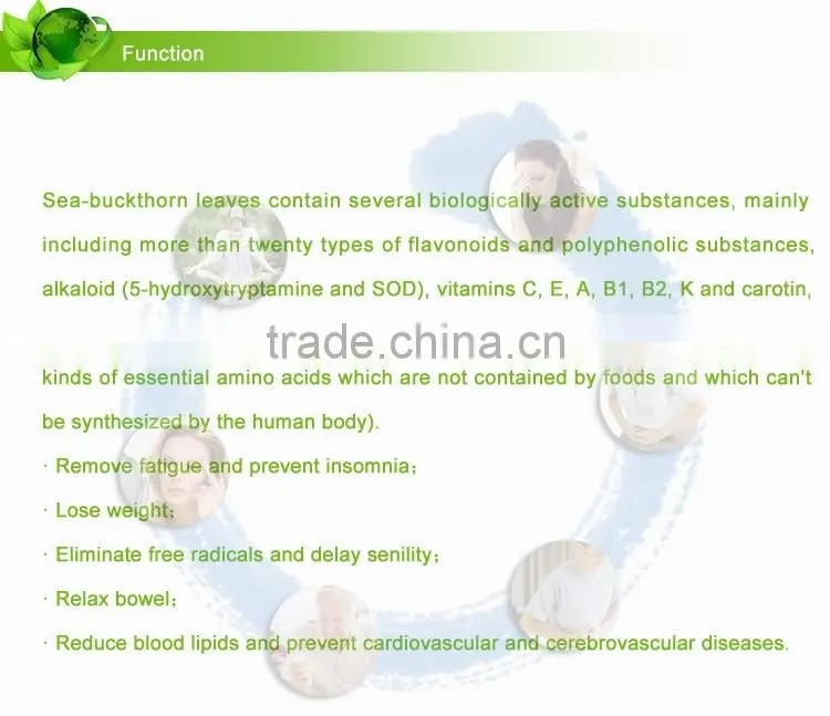Effectively reduce the blood sugar of diabetes Sea-buckthorn Tea