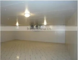 Cold Room for Storage of Fruit and Vegetable