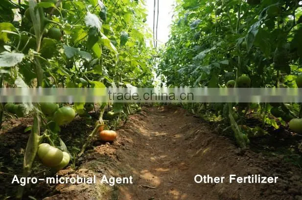 Agro-microbial Agent