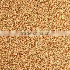 hot selling Hydraulic type oil extractor