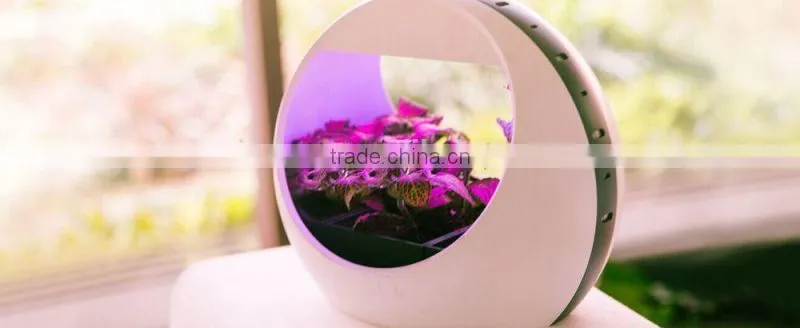 natural purification colorful Intelligent desktop growing system