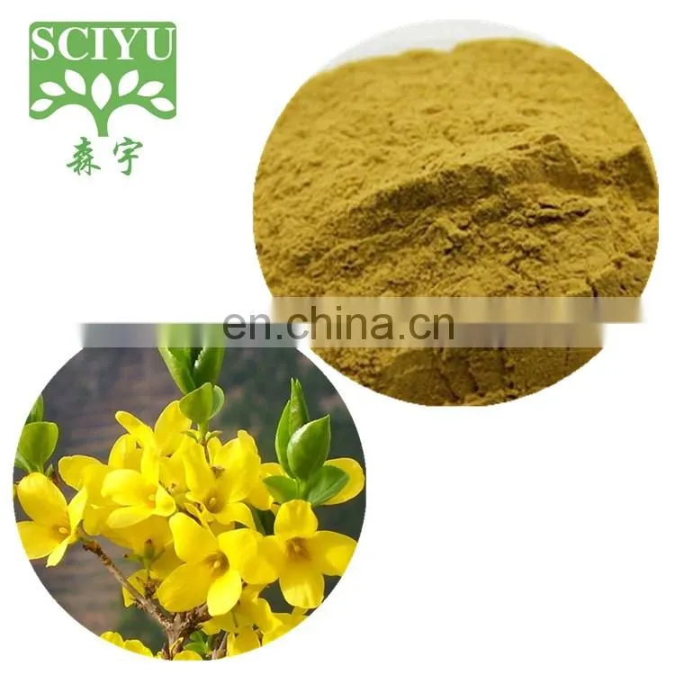 100% Natural Forsythia Fructus Extract Weeping Forsythia Extract