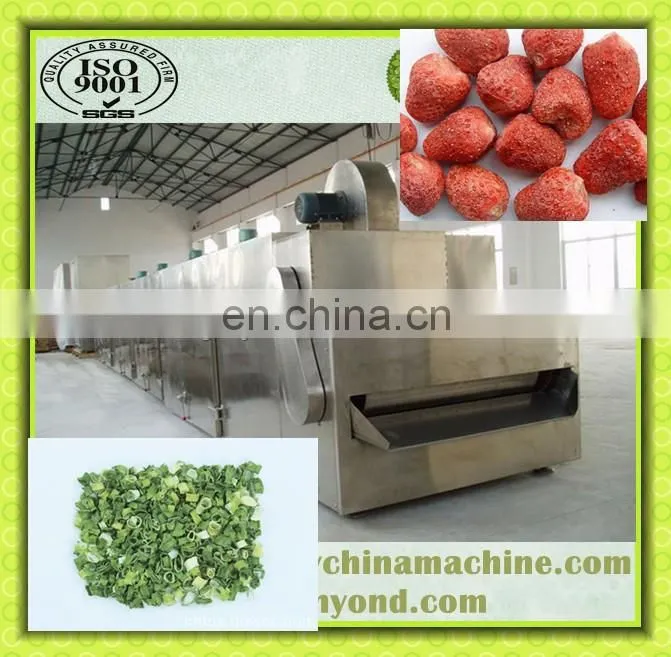 food tunnel dryer for drying fruit and vegetable