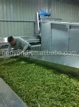 Tea Leaf Processing Machine / Tea Steamer /tea Steaming Machine