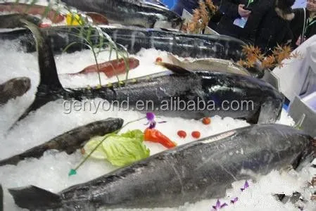 Fish Skin Scaler Machine/ Fish Scale Removing Machine/ Fish Descaler Machine