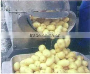 potato peeling and washing machine