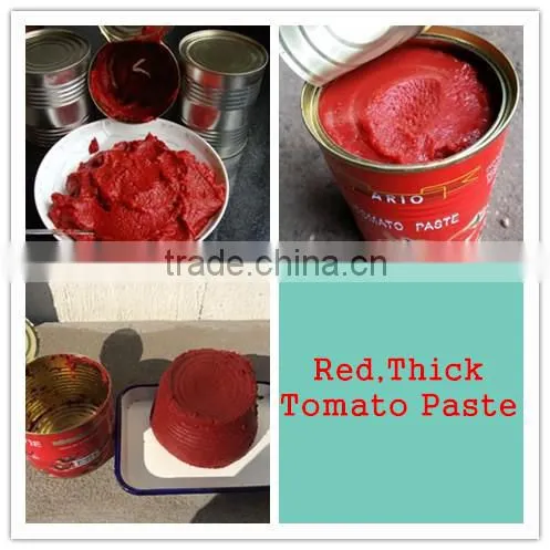 Canned tomato paste factory,with double concentrated 28-30%