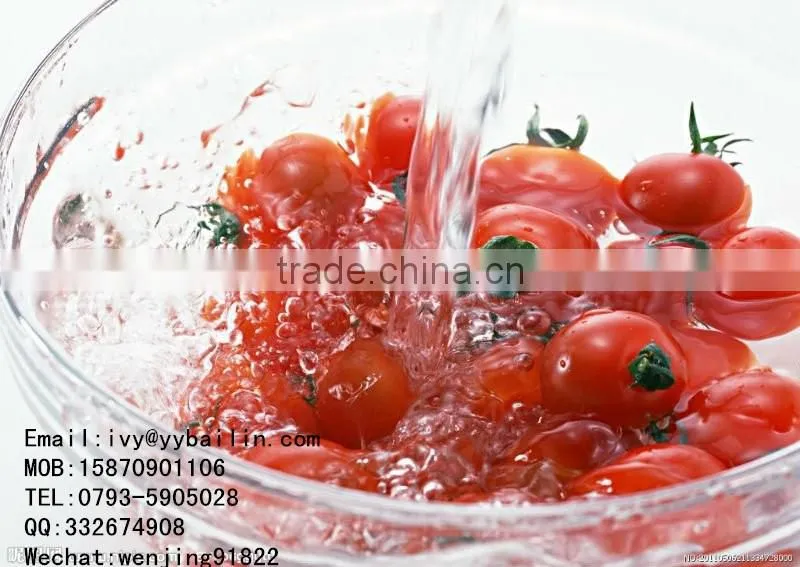 Double concentrated canned tomato paste with best quality