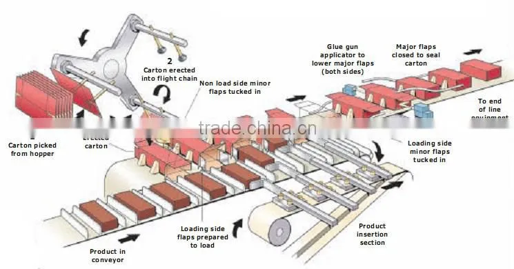 automation table tennis cartoner chinese supplier