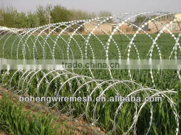 Cross Type Razor Wire Fencing for Military Base