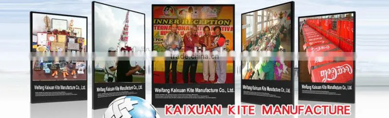 inflatable kite, show kite,motorbike kite from Kite factory