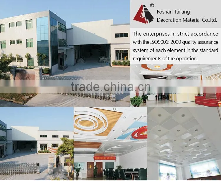 FOSHAN LED panel light ceiling light 30*30