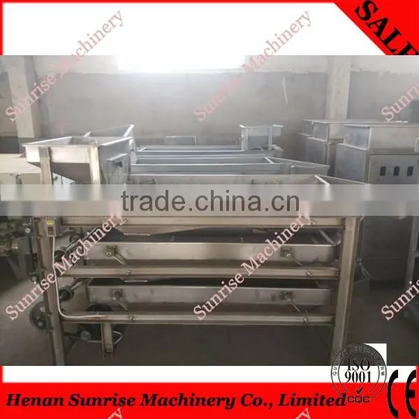 200 kg/h stainless steel cacao bean processing line