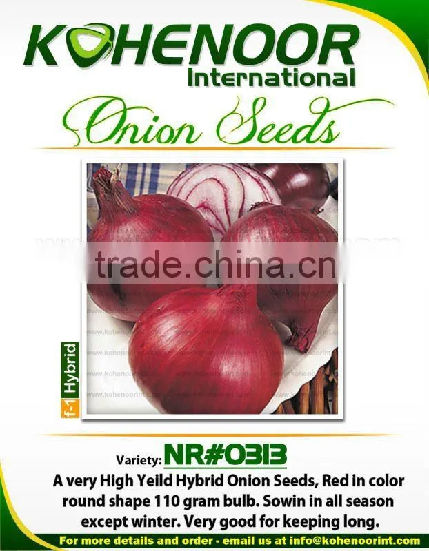 Hybrid Onion | Safa Seeds Brand