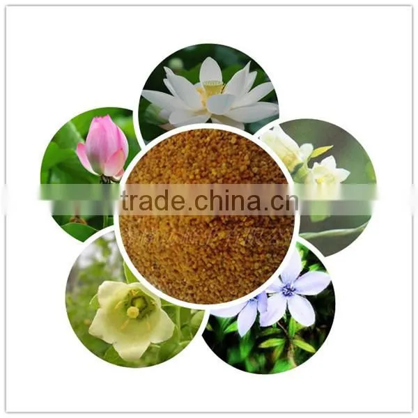 Pure raw honey bee pollen rape bee pollen from big farm