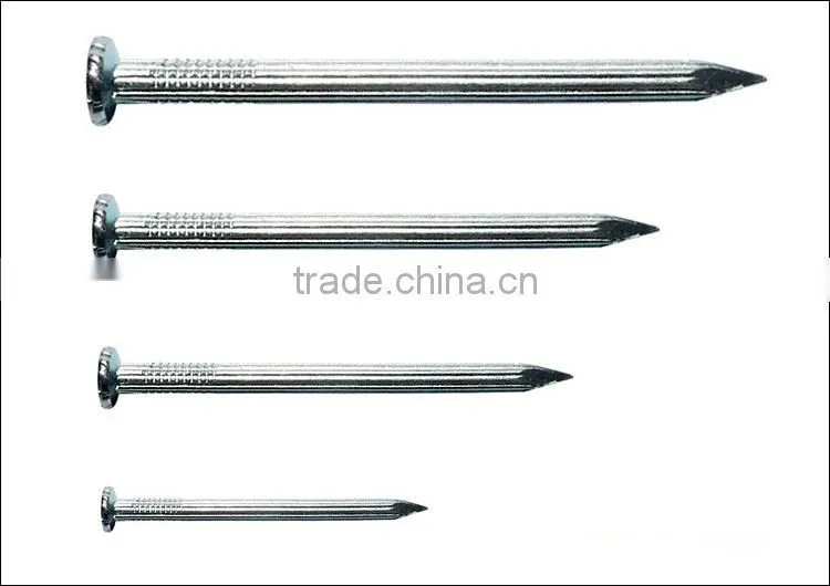 30 years experience concret nail suppiler with high quality