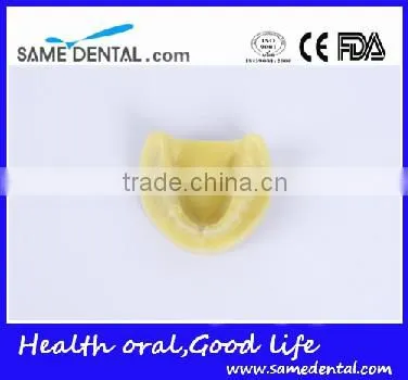 Dental Implant Practice Model (no gum) Education School Teaching Models