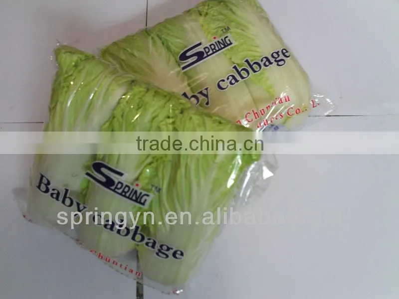 Long Shape Cabbage Fresh Green Cabbage on sale frozen packed