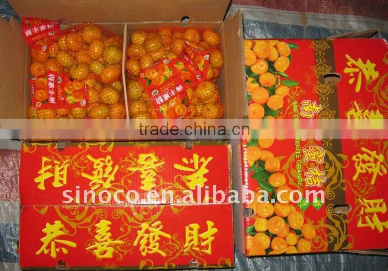 Baby Mandarin in China