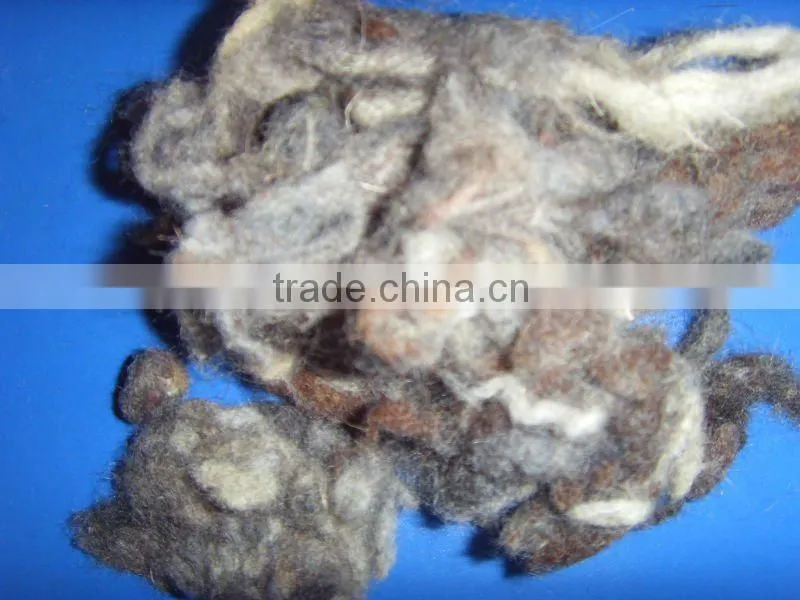 greasy wool for sale