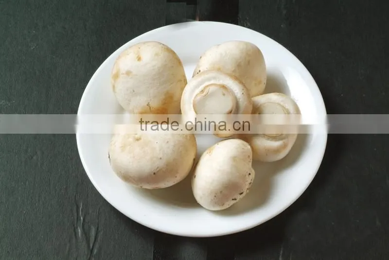 bulk package China dried shiitake mushrooms