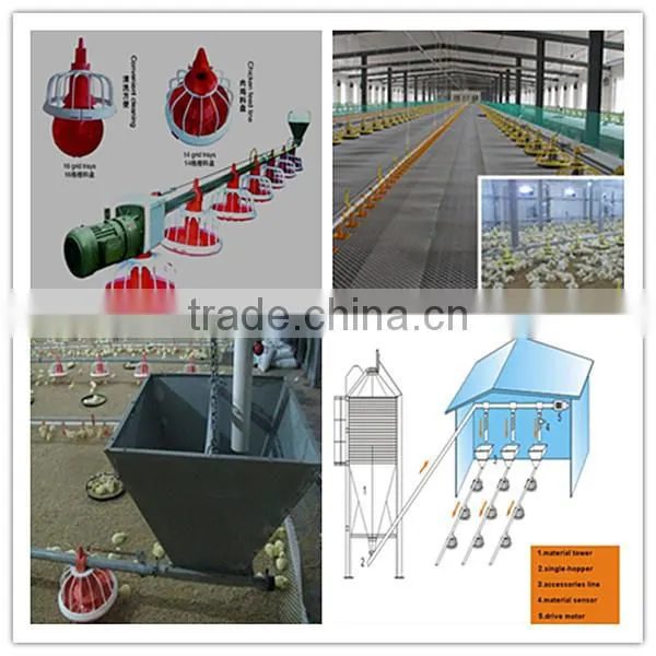 JINLONG Automatic Poultry Feeding Pan System