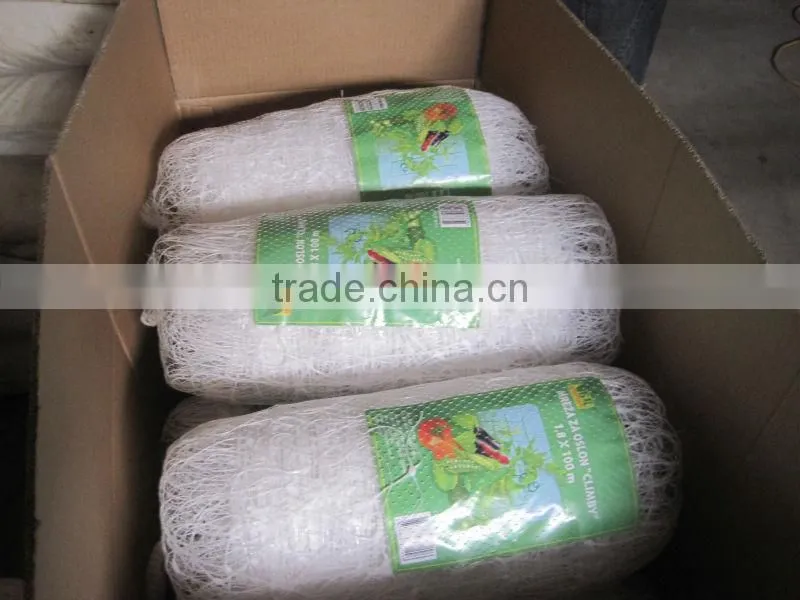 cucumber plants support netting