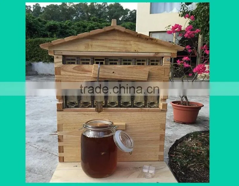 beehive box , super quality flowhive box ,beehive for sale.flowhive with flow frame
