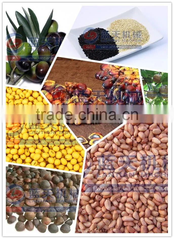 hot selling in Africa New energy-saving Screw press oil machine