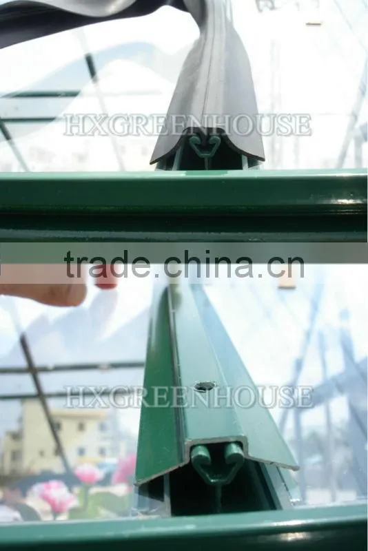 Super elegant 4mm safety toughened glass greenhouse used in your garden