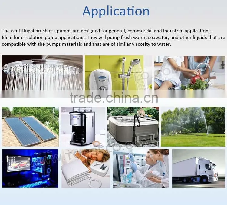 Circulation DC brushless 12v 24v cooling capacity chiller pump