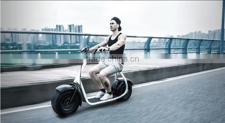Fahshion 800W/1000W Brushless motor Adult Electric Scooter, 2 Wheels Electric scooter (TKE-S800)