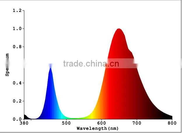 100W full spectrum COB led chip in red phosphor for led grow light