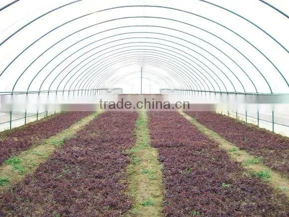 New style single span tunnel greenhouse for sale