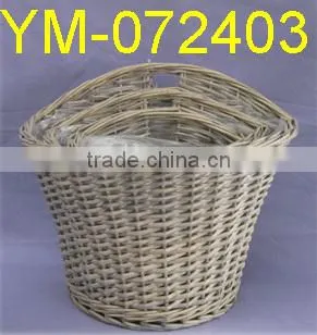 Cheap Garden Plant and Pot