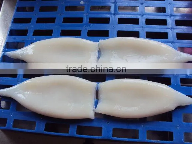 frozen todarodes pacificus squid tube