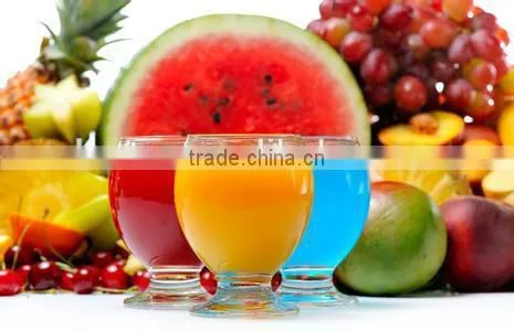 Stainless Steel Fruit Juicer,Professional Juice Extractor,Pomegranate Juicer easy to use