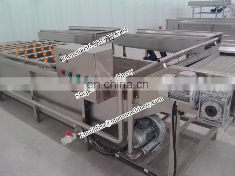 Electric vegetable and fruit washing machine for fresh fruits and vegetables