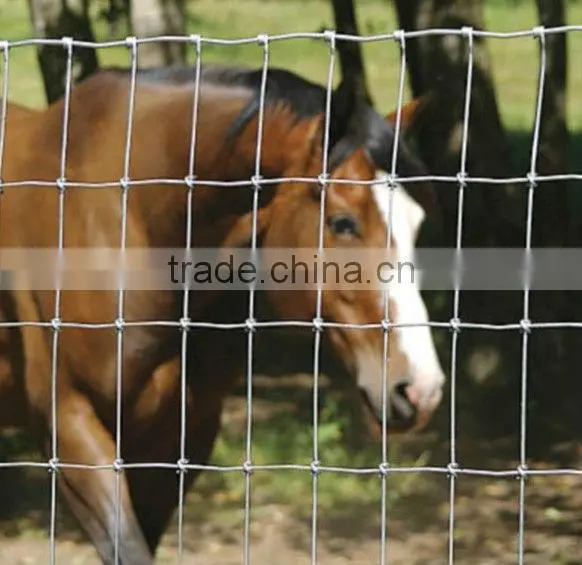 hot dipped galvanized Cattle Fence/Grass Land Fence (Supplier)
