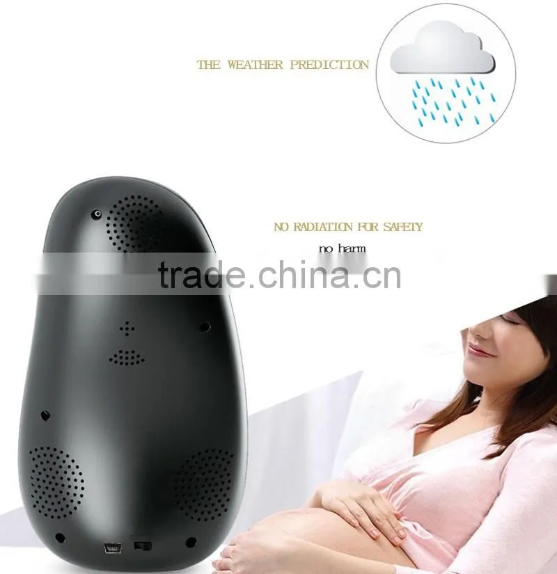 Home Decration Professional Wireless Weather Station with Clock,Calendar, Temperature & Humidity Function