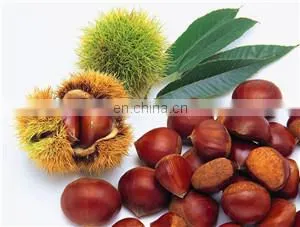 new type automatic multifunctional dates sorting machine