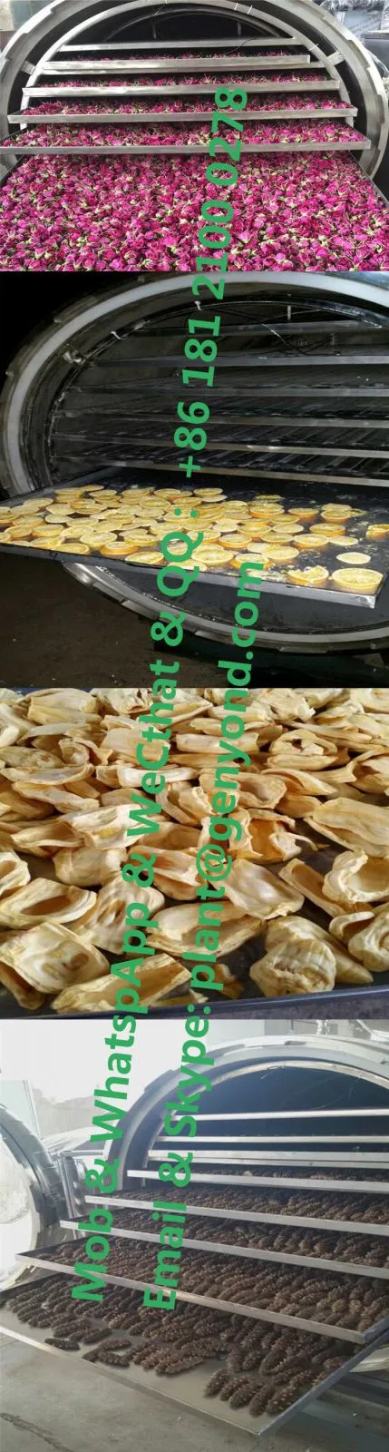 Vacuum Freeze Dried Drying Dryer Machine Food Fruit Honey Powder Instant Coffee Durian Strawberry Flowers Roses