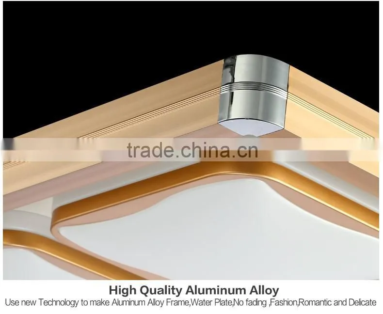 2016 new design led ceiling lamp contemporary ceiling lighting 30W