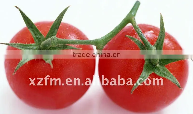 22-24 tomato paste in standing pouch