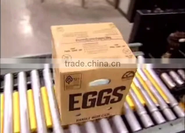 CLEAN FRESH WHITE AND BROWN EGGS FOR SALE BRAZIL ORIGIN